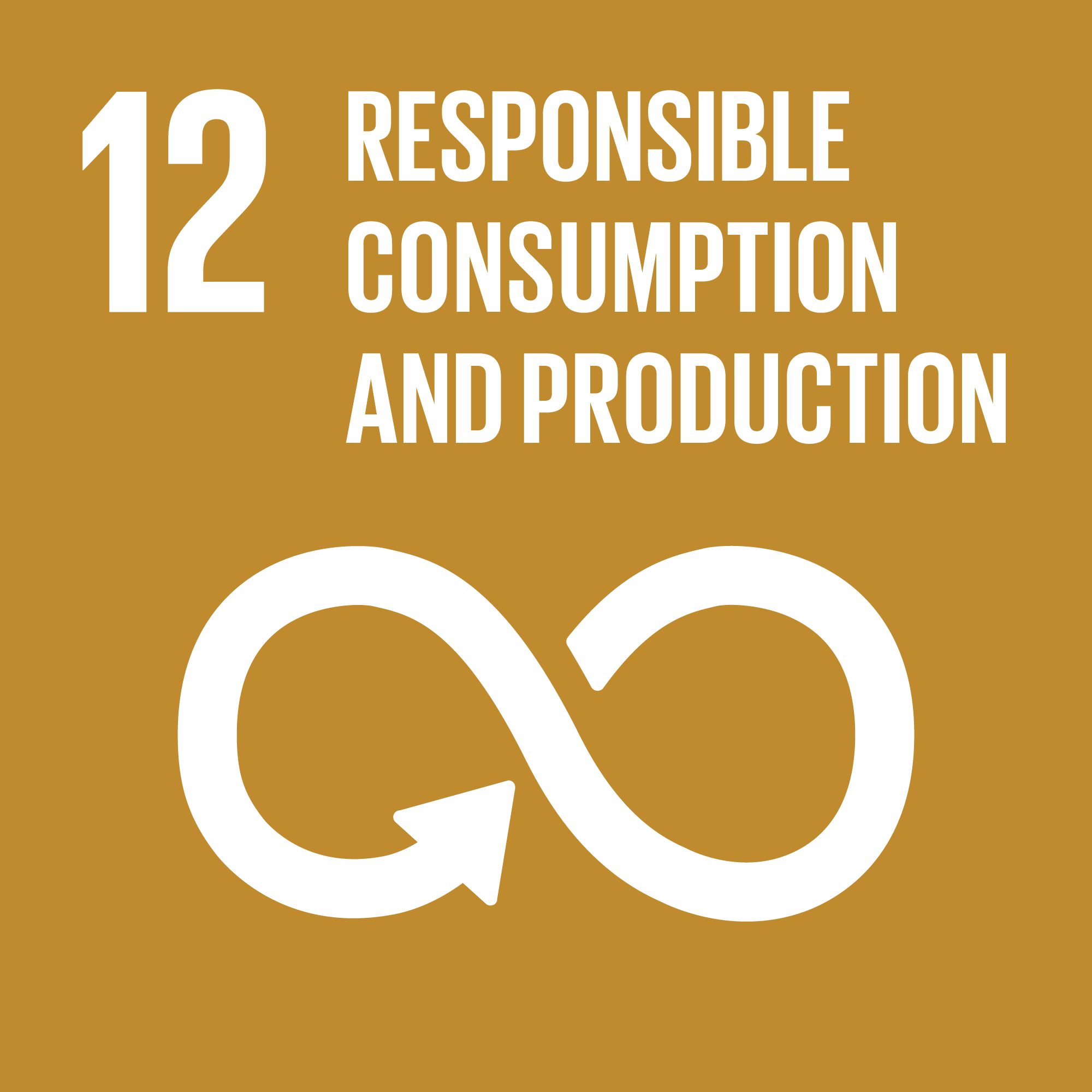 Sustainable Development Goal 12: Responsible Consumption and Production