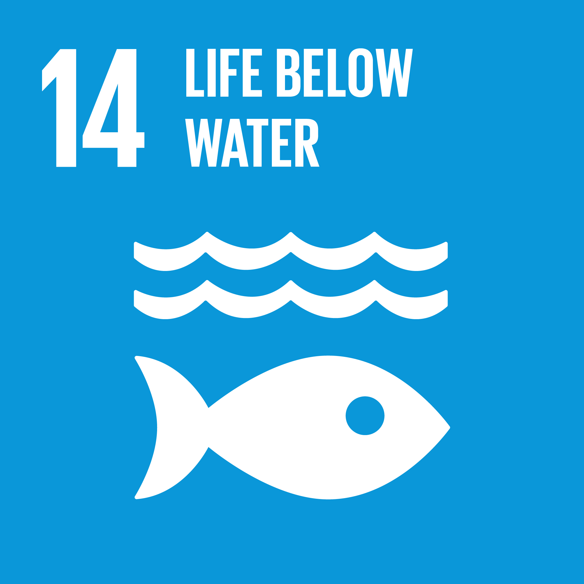 Sustainable Development Goal 14: Life Below Water