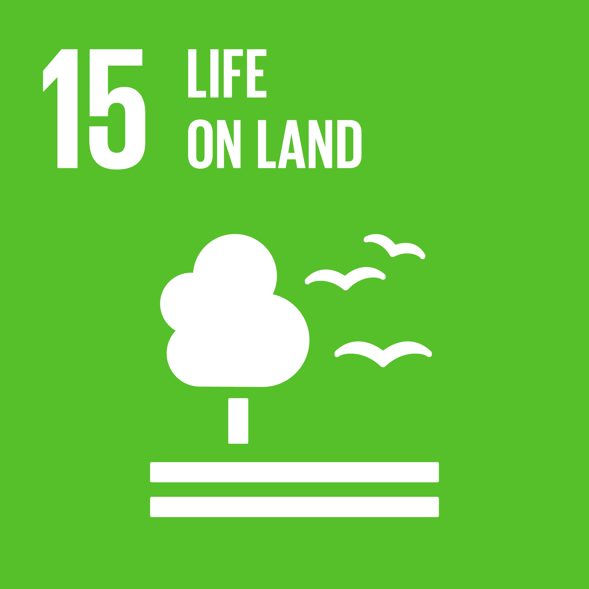 Sustainable Development Goal 15: Life on Land