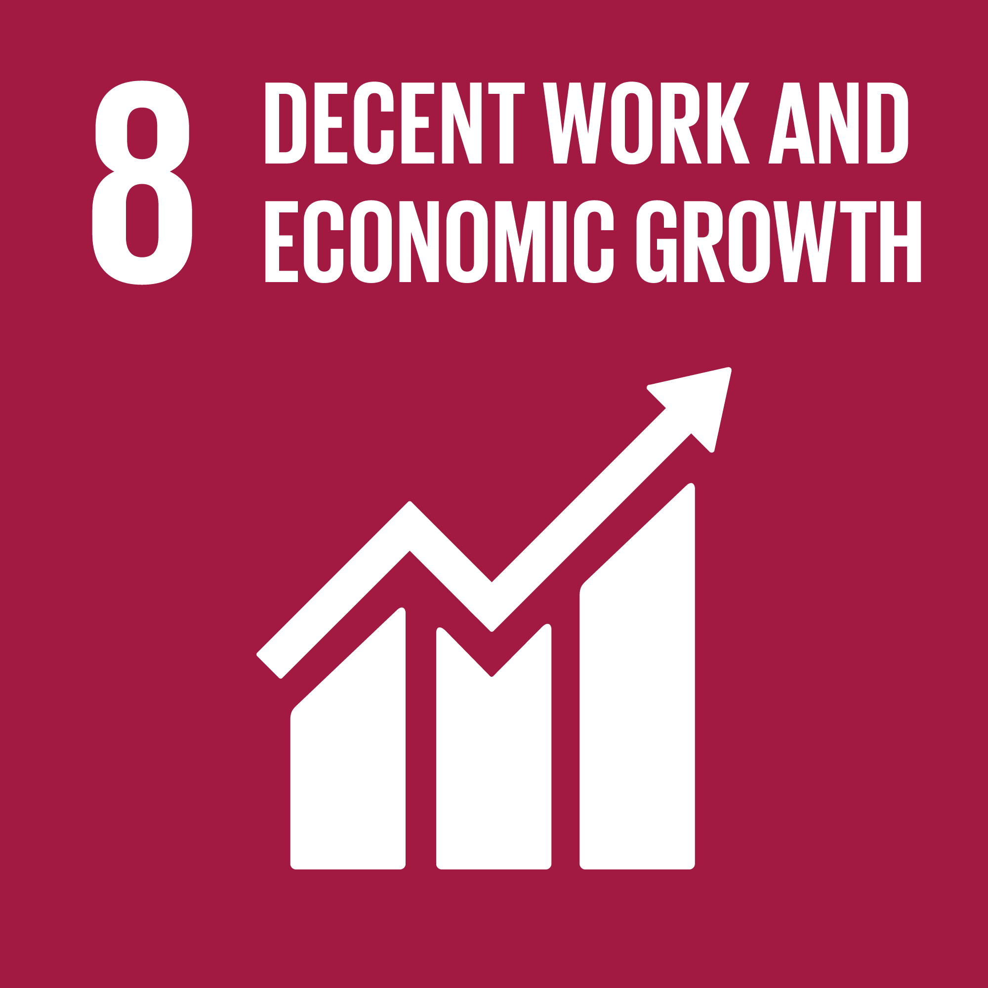 Sustainable Goal 8: Decent Work and Economic Growth